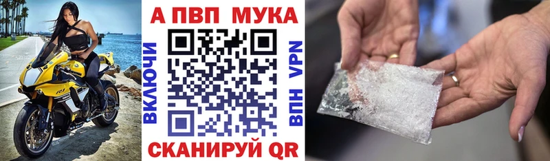 A-PVP СК  Сальск 