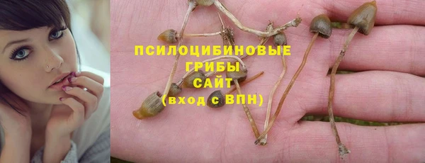2c-b Абдулино