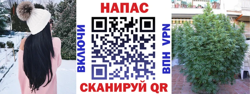 где найти наркотики  Сальск  Марихуана индика 